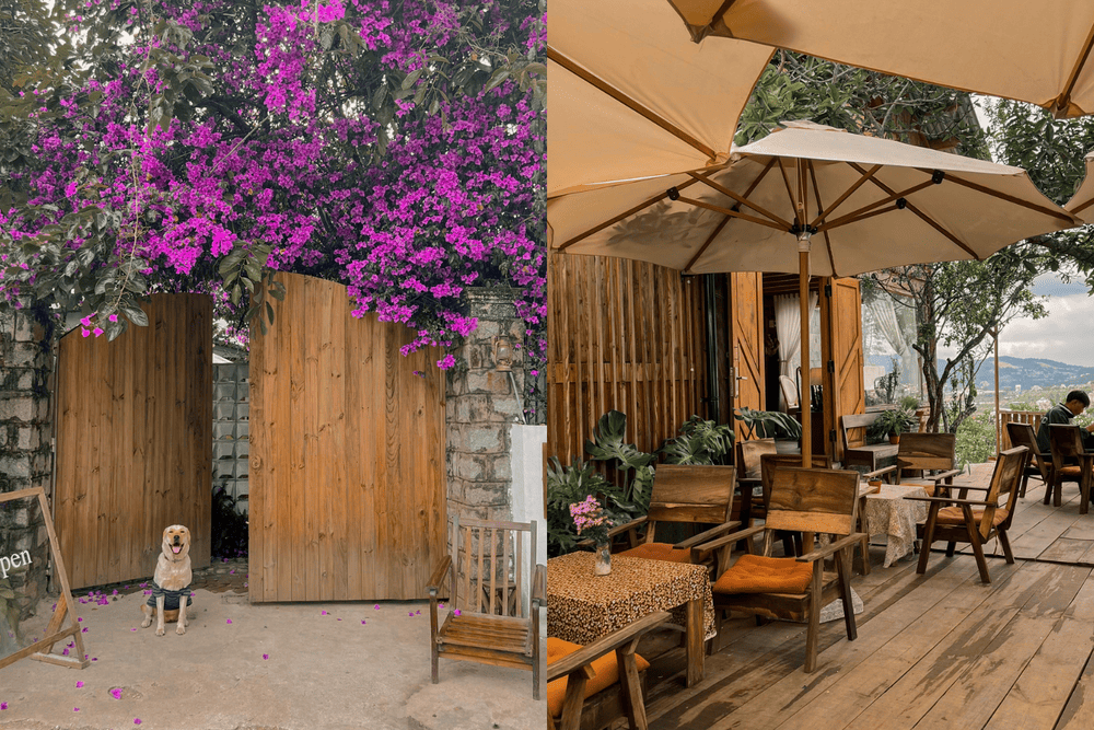 Qu&aacute;n trang tr&iacute; nhiều tiểu cảnh, hoa tươi bắt mắt, l&yacute; tưởng cho c&aacute;c t&iacute;n đồ &ldquo;sống ảo&rdquo; (Nguồn: Fanpage G&oacute;c của T&ugrave;ng)